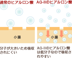 しっかり吸収されるヒアルロン酸